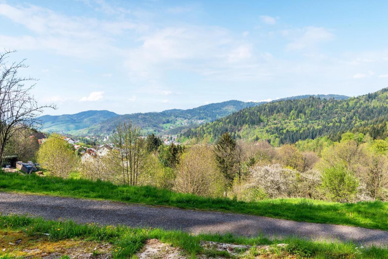 Ferienwohnung Fasse Bühlertal Dış mekan fotoğraf