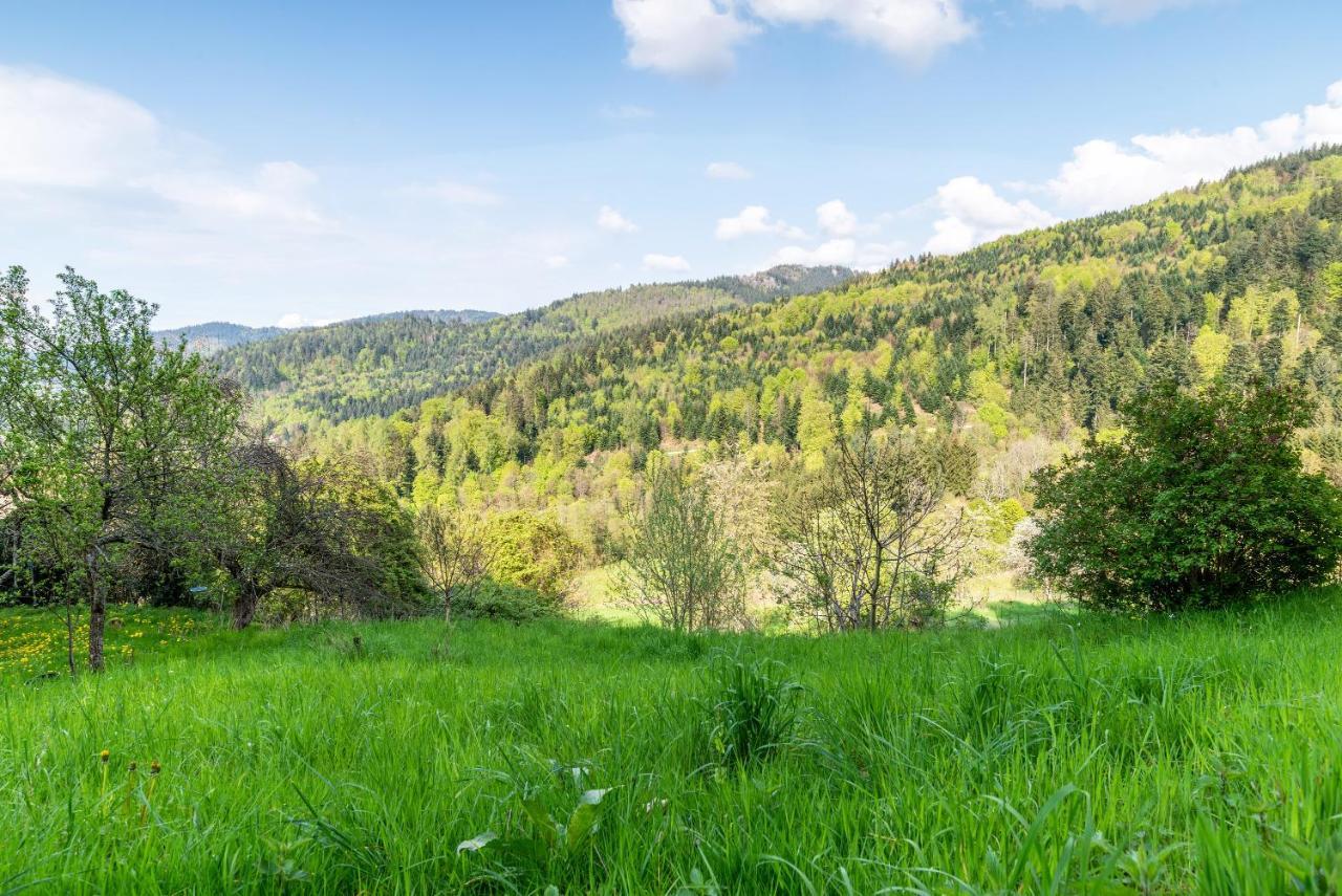 Ferienwohnung Fasse Bühlertal Dış mekan fotoğraf